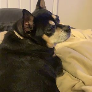 Meet your Posher, Brett